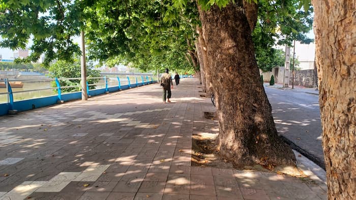 خیابان فلسطین بابلسر